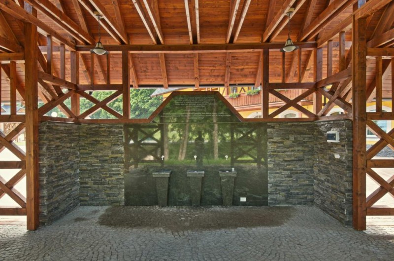 Spa Hotel Zdravia #22