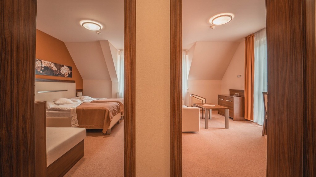 Spa Hotel Zdravia #12