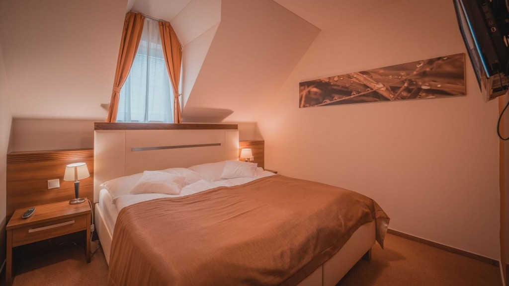 Spa Hotel Zdravia #14