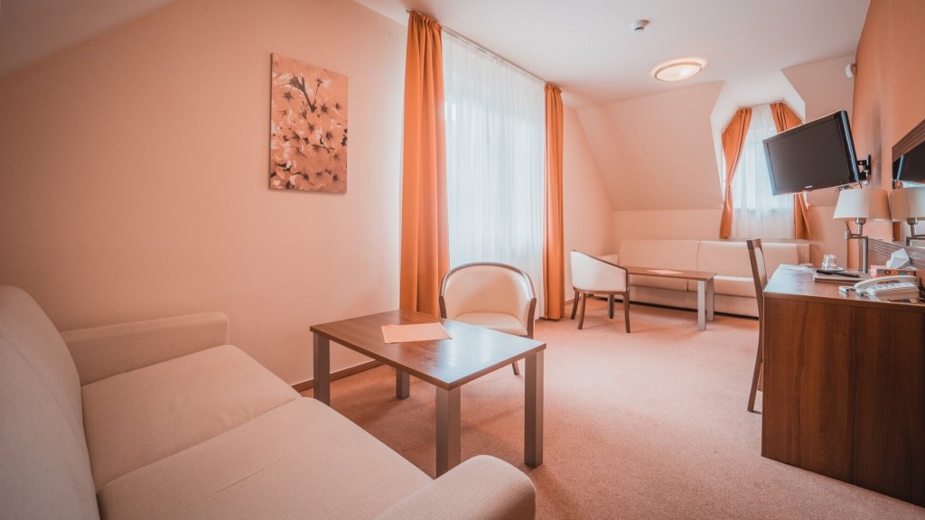 Spa Hotel Zdravia #15