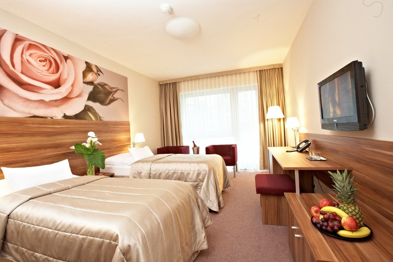 Spa Hotel 4* VELKA FATRA #52