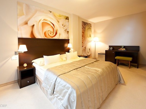 Spa Hotel 4* VELKA FATRA #44