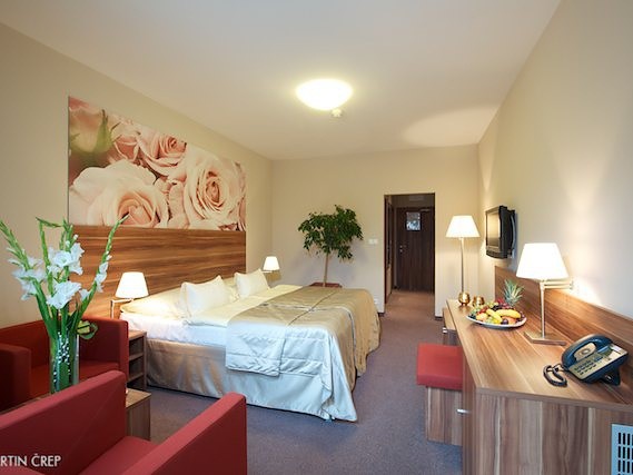 Spa Hotel 4* VELKA FATRA #45