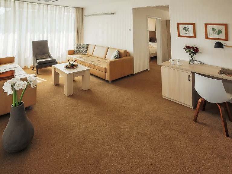 Spa Hotel 4* VELKA FATRA #40