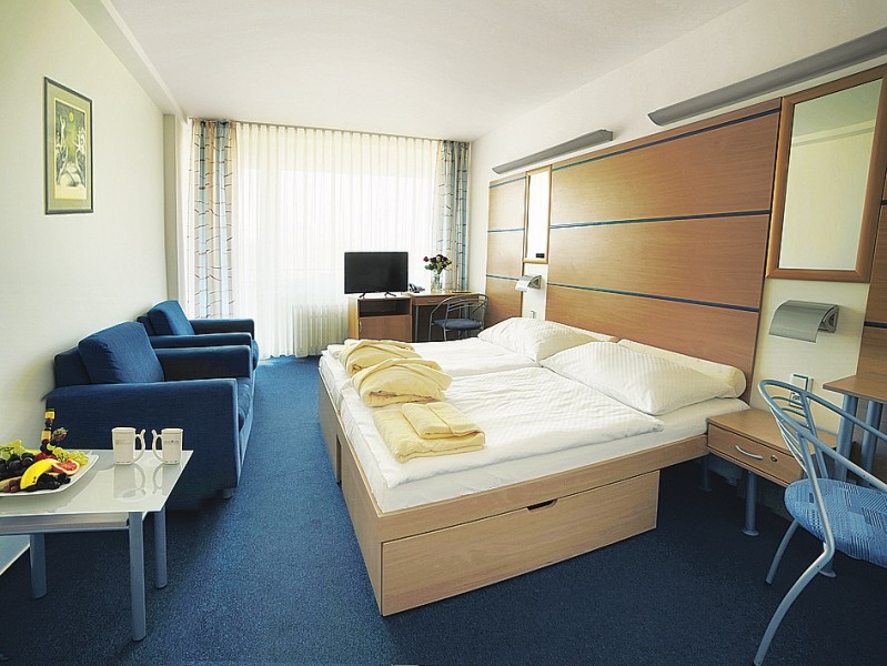 Spa Hotel 4* VELKA FATRA #41