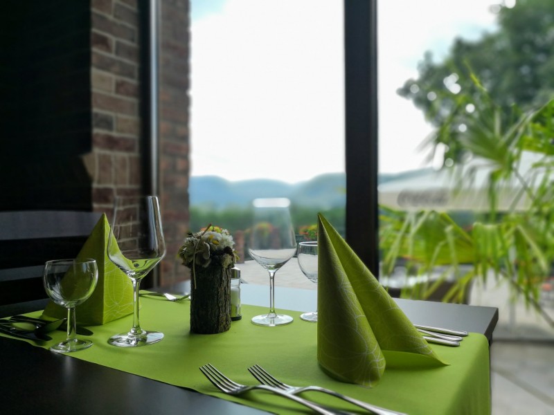 Pension and Restaurant MODRA RYBA #47
