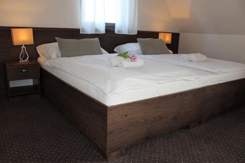 Pension & Wellness ZOBORSKA #21