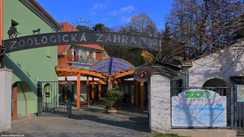 Pension DRUZBA #20