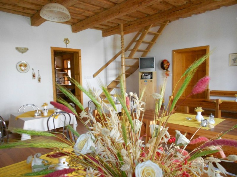 Pension Hron #9