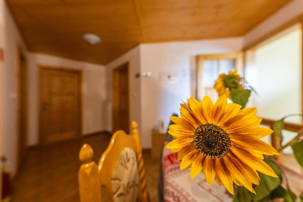 Guest house JAS #22