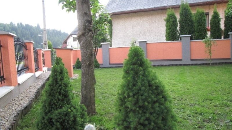 Guest house MICIK #27
