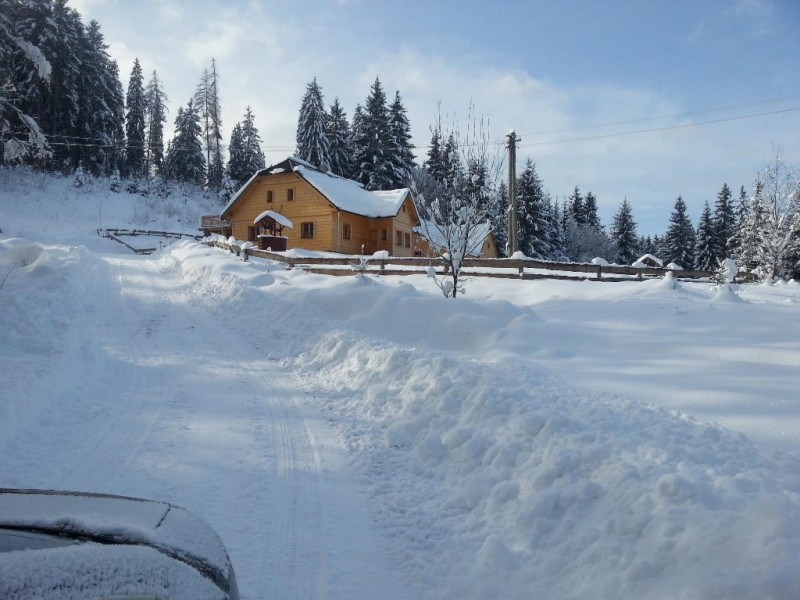 Forest House and Cottage Dobak #1