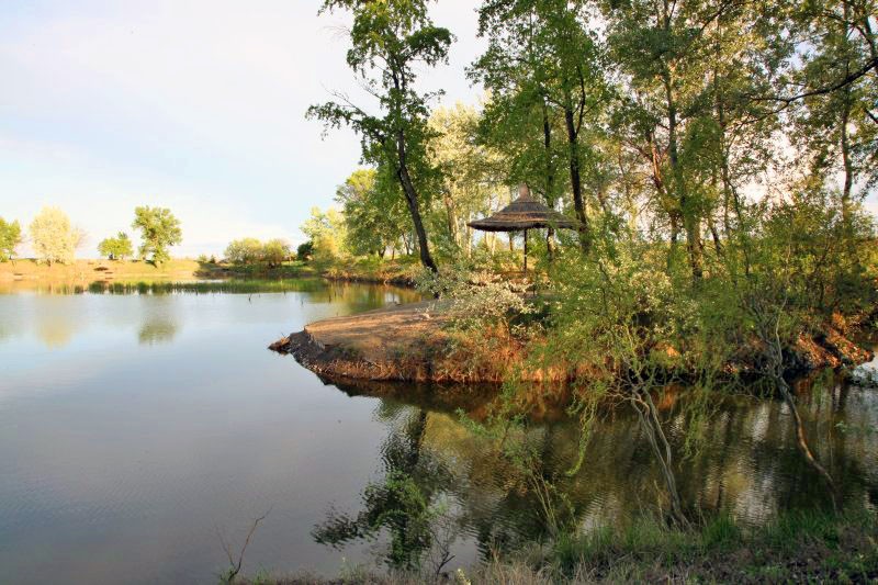 Pension & Restaurant ZLATA RYBA #18