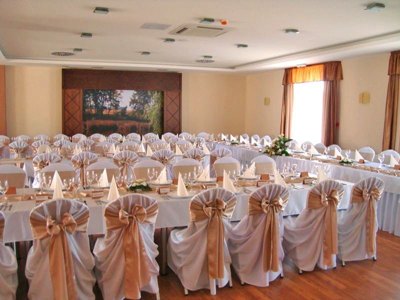 Pension & Restaurant ZLATA RYBA #27