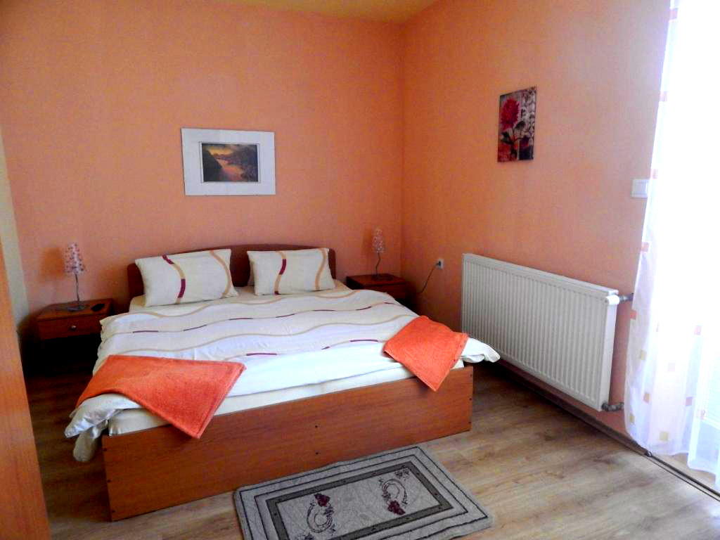 Pension RUBIN - apartments #6