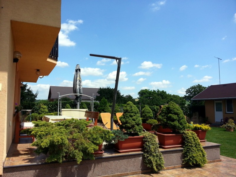 Pension TERMAL #12