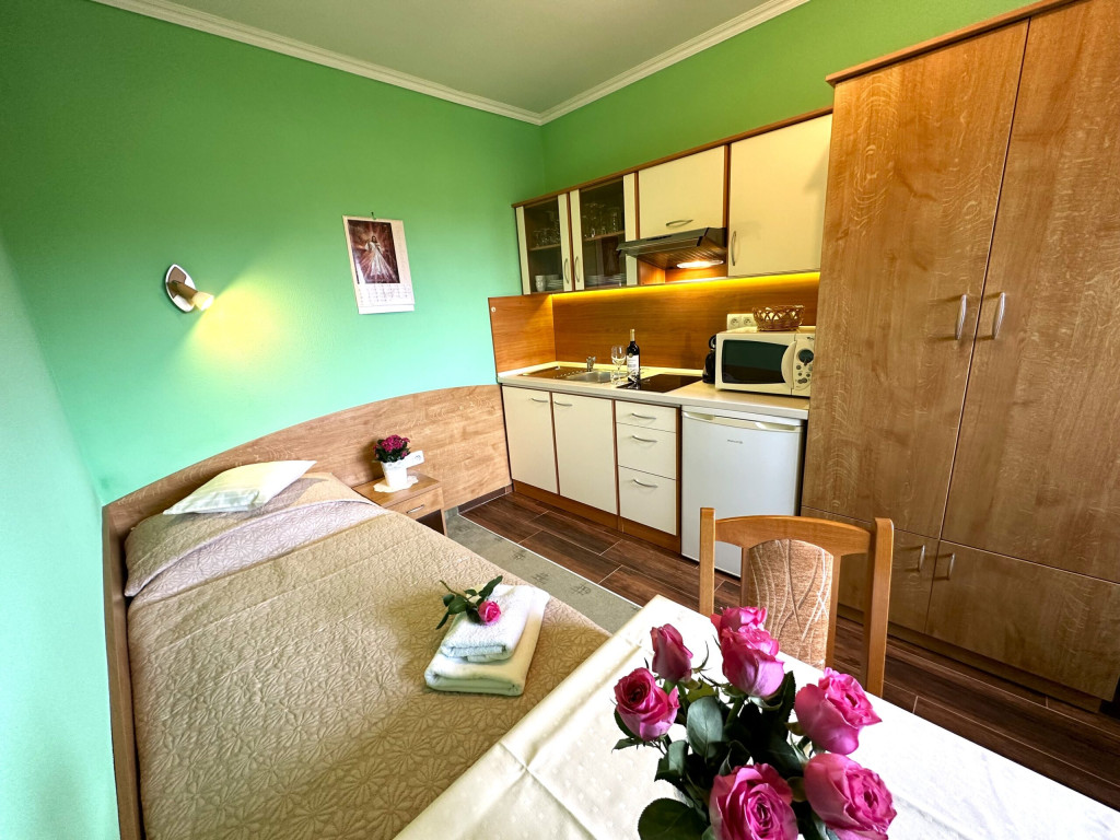 Guest house U VIERKY #33