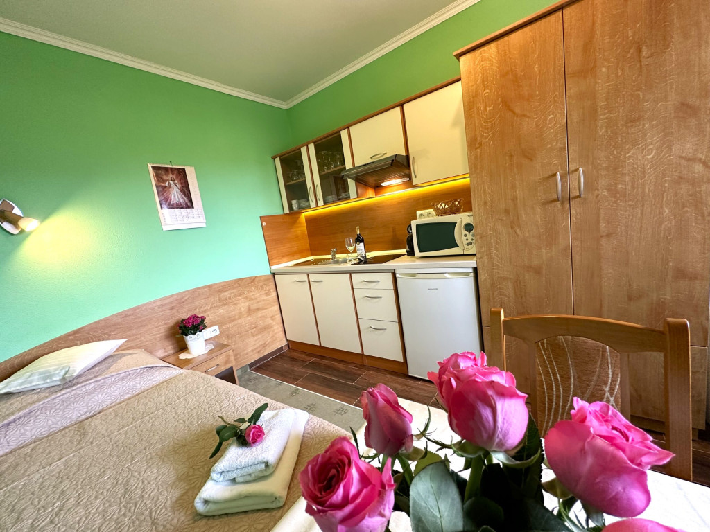 Guest house U VIERKY #36