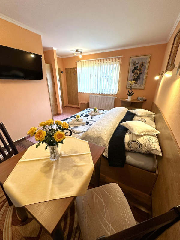 Guest house U VIERKY #37