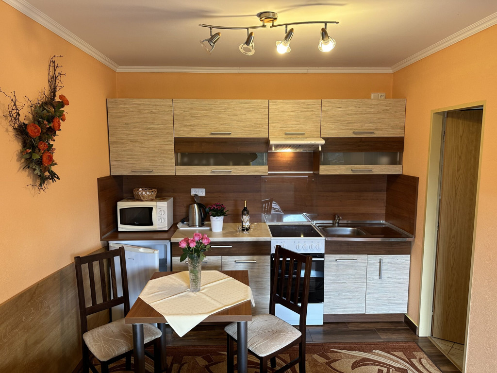 Guest house U VIERKY #40