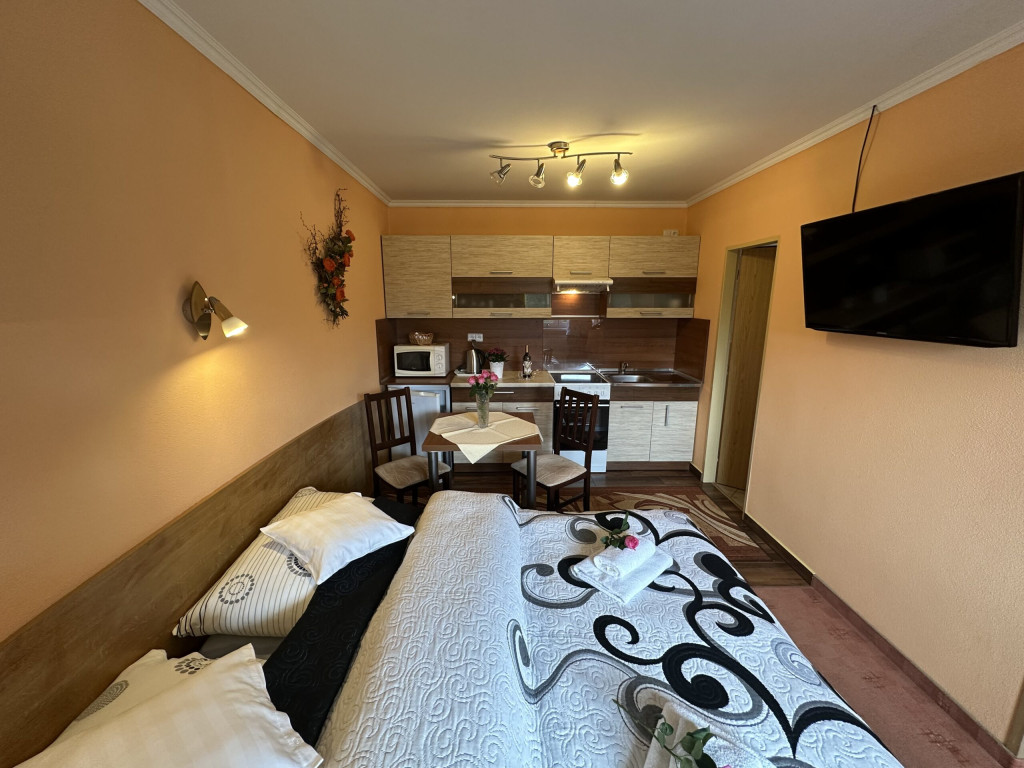 Guest house U VIERKY #41