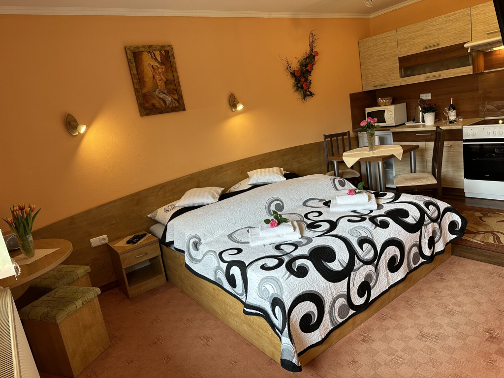 Guest house U VIERKY #43