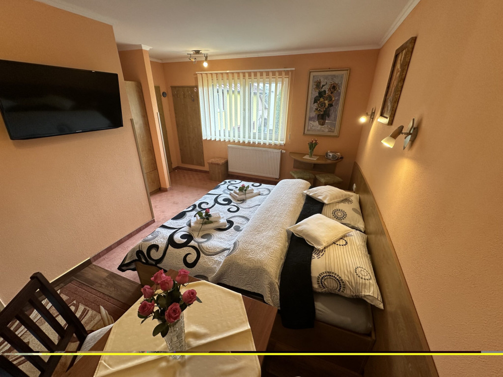 Guest house U VIERKY #45
