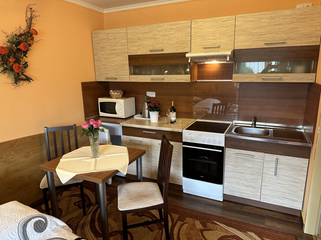 Guest house U VIERKY #46