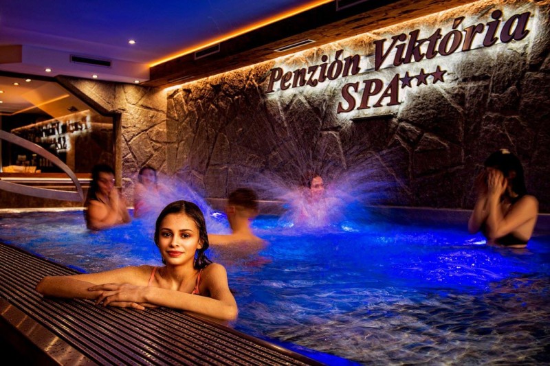 Pension VIKTORIA #4