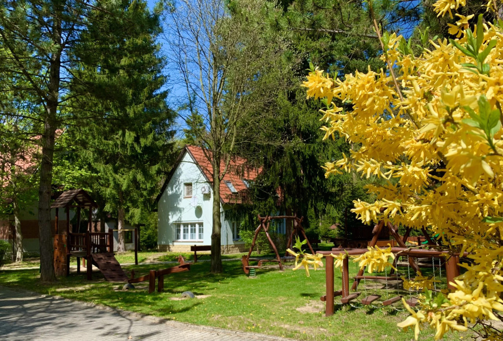 Recreation resort PUST #2