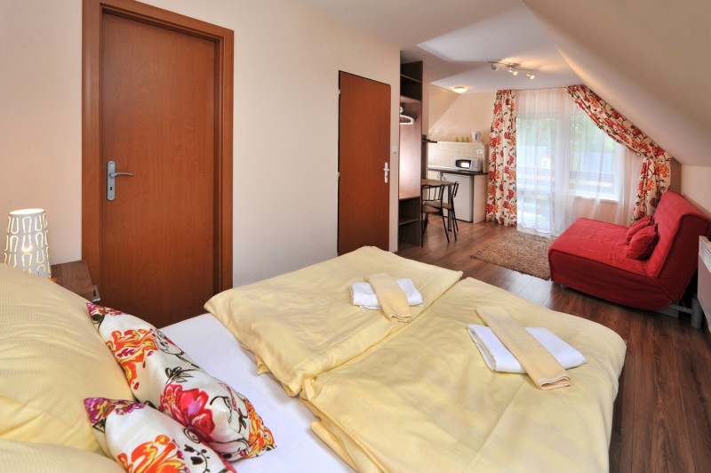 APLEND Studios Tatry Holiday #10