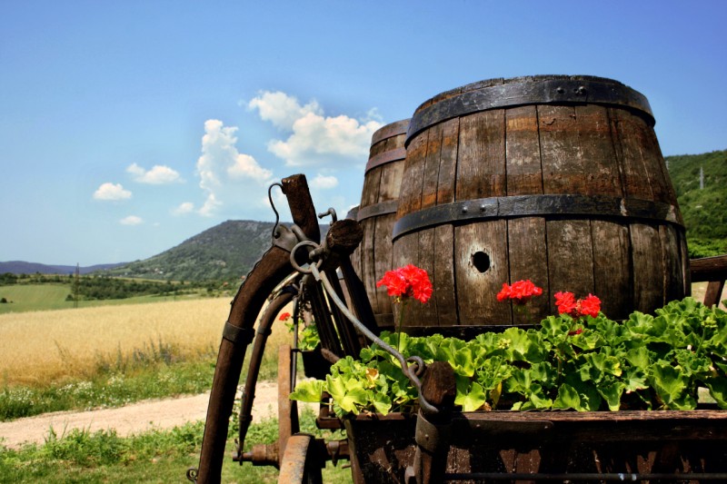 Pension Granarium #57
