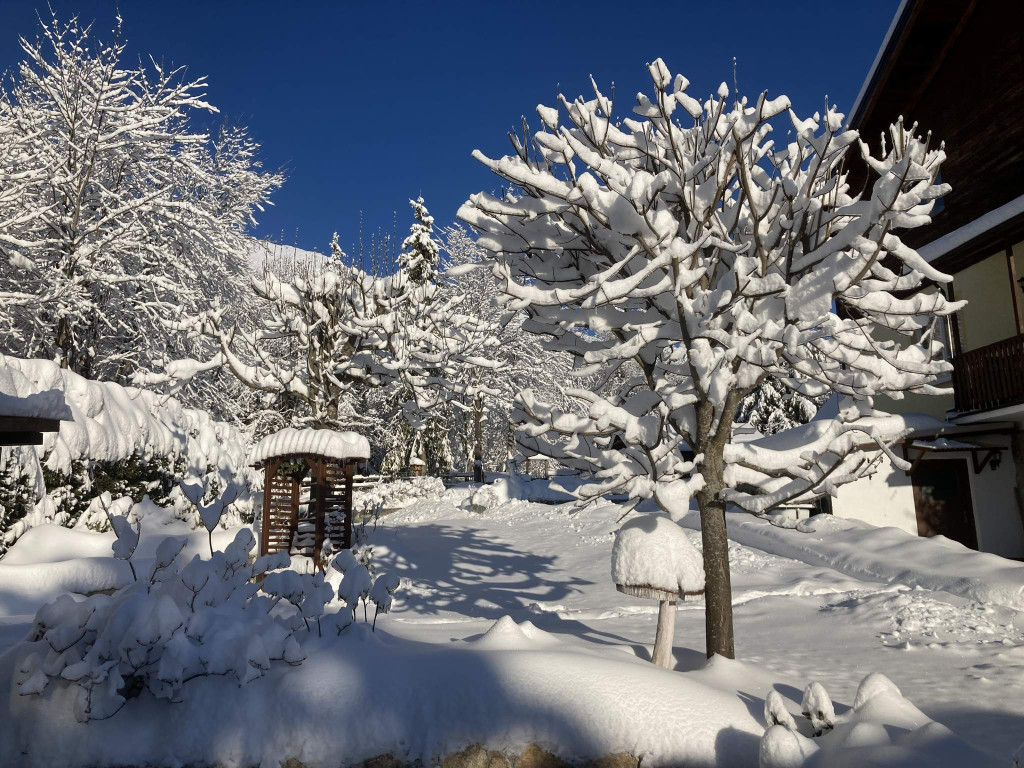 Vila LIMBA #31