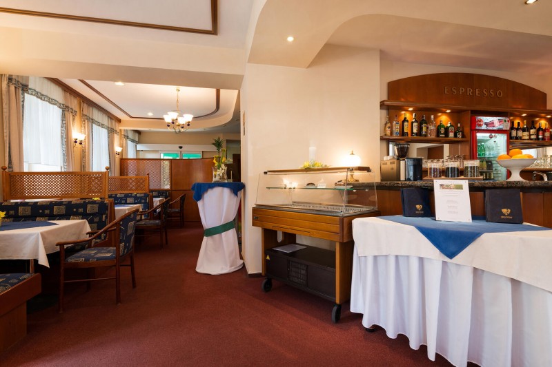 Vila Trajan Ensana Health Spa Hotel #4
