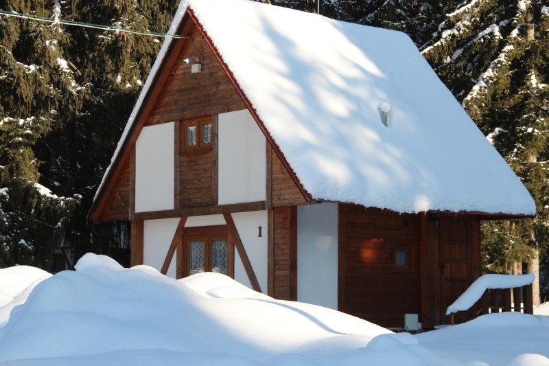 Wooden cottages Mnich #2