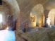 Roman Lapidarium Komárno #8