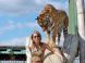 Oáza Sibírskeho Tigra #27