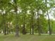 JANKO KRÁĽ GARDEN #7