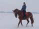 KARLOV DVOR Riding Club #6