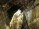 Jaskyňa mŕtvych netopierov