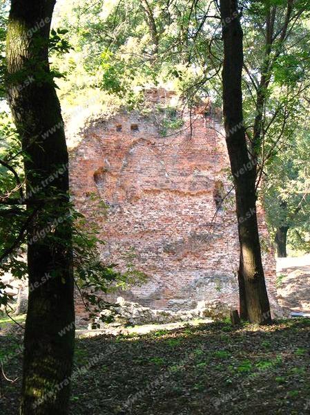 RUINS OF PARIČ CASTLE