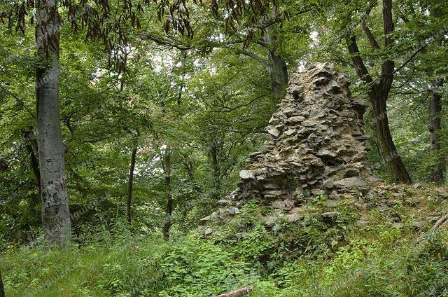 Dragon castle