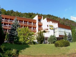 Hotel FLÓRA - Wellness a léčebný hotel Trenčianske Teplice