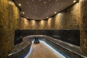 Wellness Euphoria Wellness Euphoria
