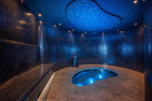 Wellness Euphoria Wellness Euphoria