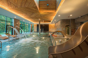 Wellness Euphoria Wellness Euphoria