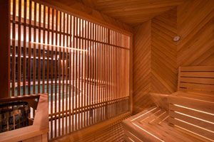 Wellness Euphoria Wellness Euphoria