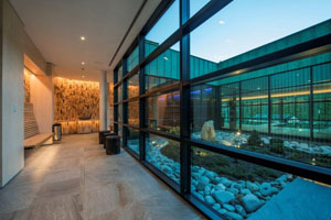 Wellness Euphoria Wellness Euphoria