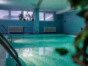 Relax Hotel Avena (bazén)