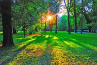 park